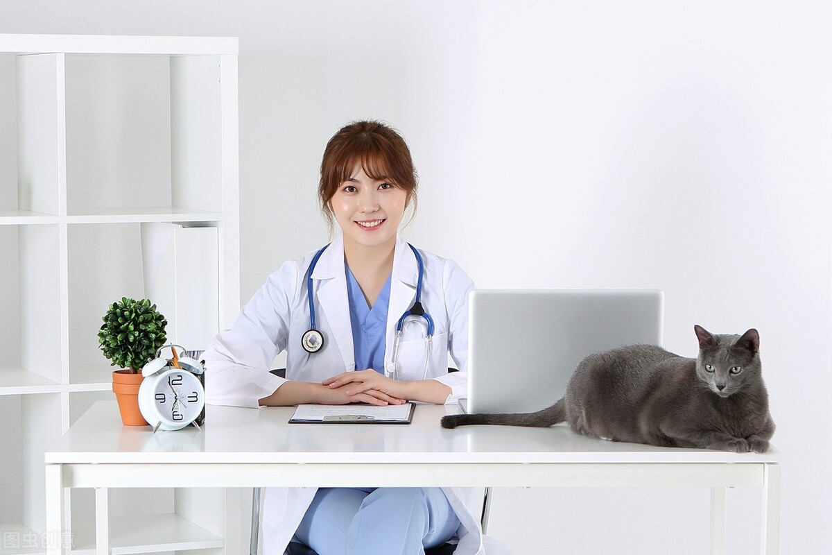 细小病毒会通过什么传染,细小病毒对人的影响