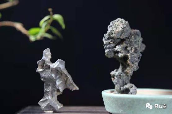 不瞒你说，这些石头你去了主人家里都未必能看到