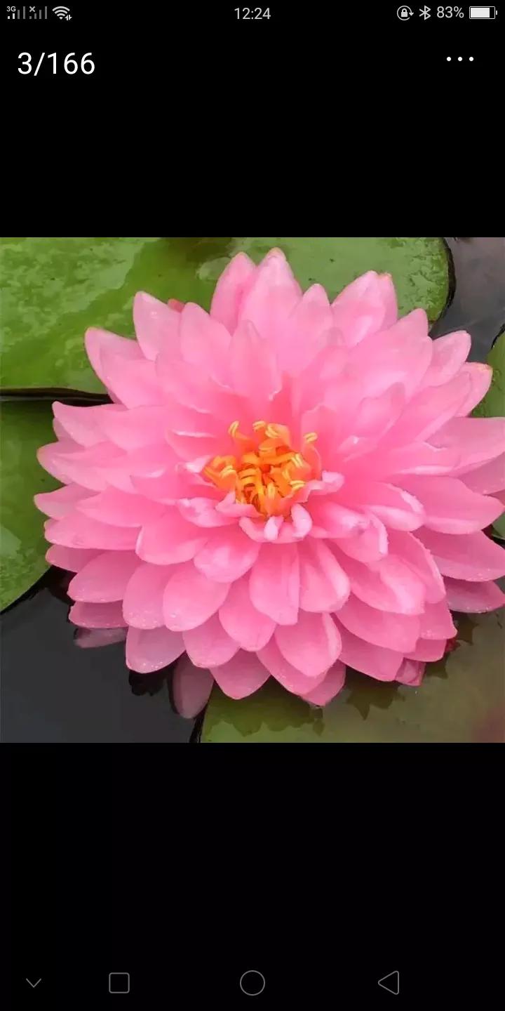 好想对你说一句我想你了,好想跟你说心事