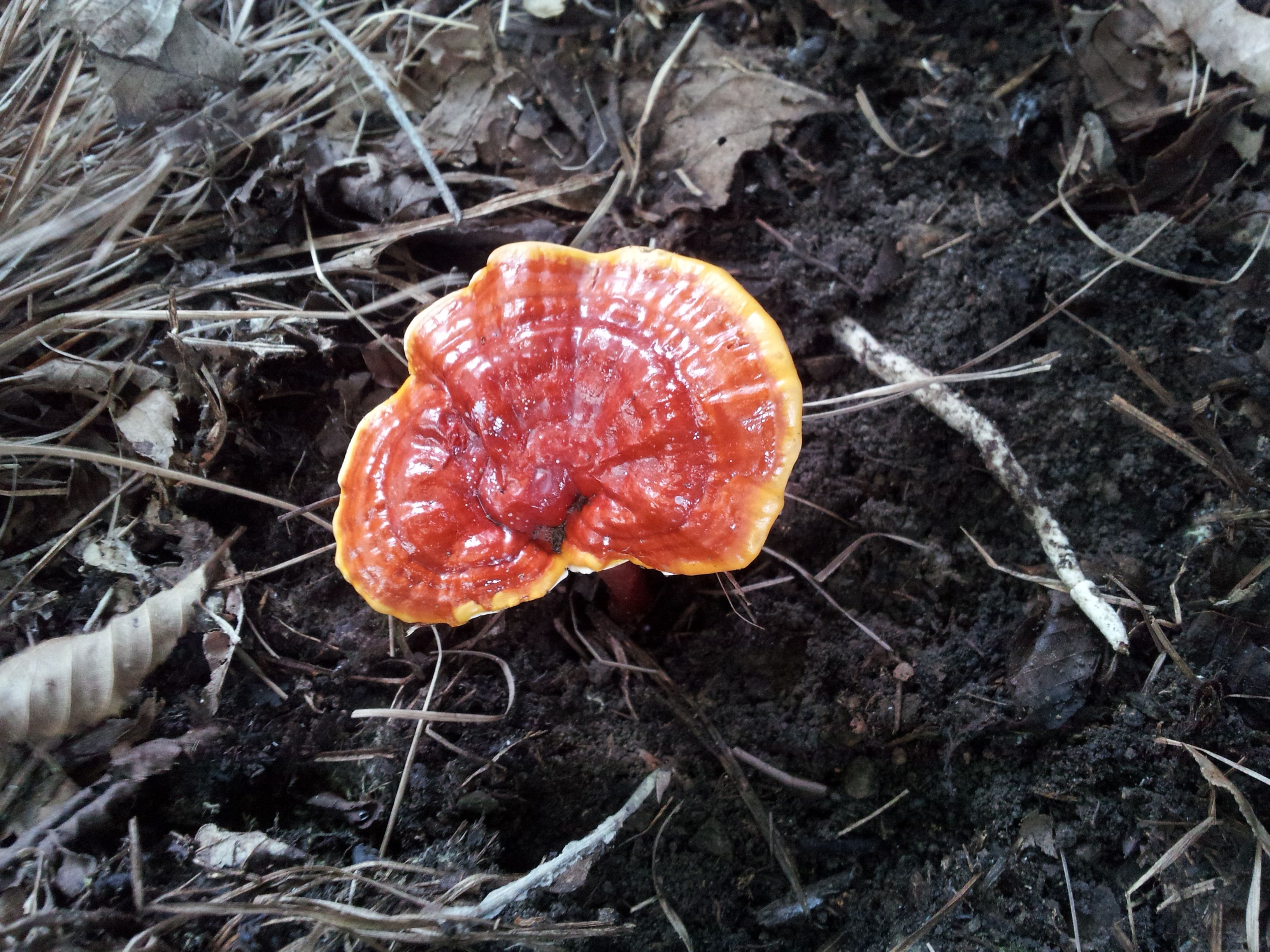 曹操的养生秘籍,曹操养生秘诀