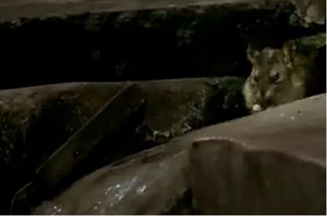 印度贫民窟提炼黄金,印度穷人致富之路