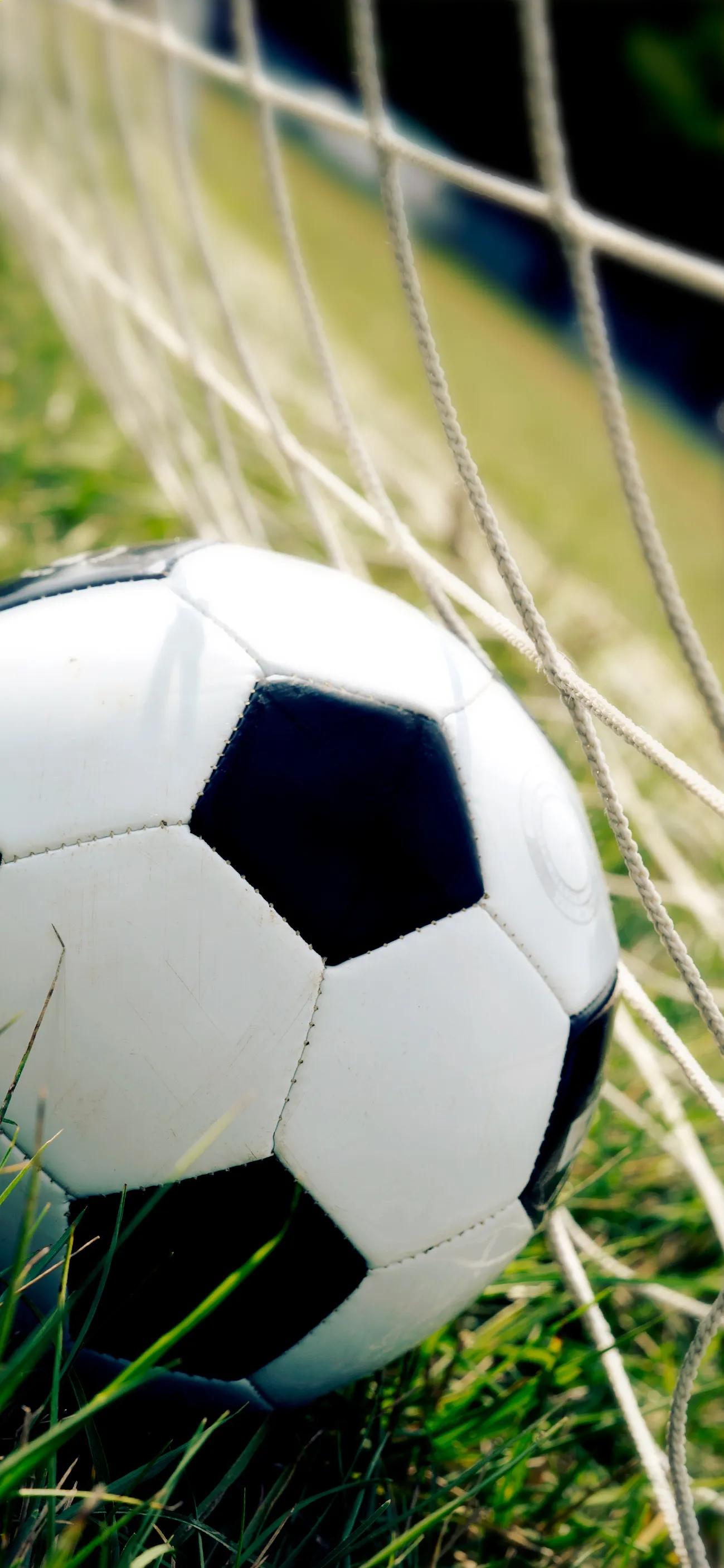 98世界杯高清壁纸,看世界杯图