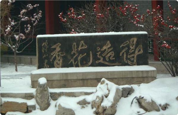 汾酒的优势介绍,汾酒都有什么特点