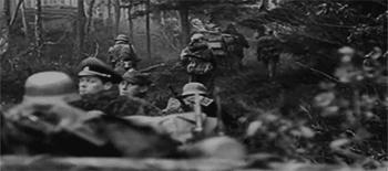 从日本皇室蔓延到*队军**的致命脚气，要找到真凶究竟有多难？