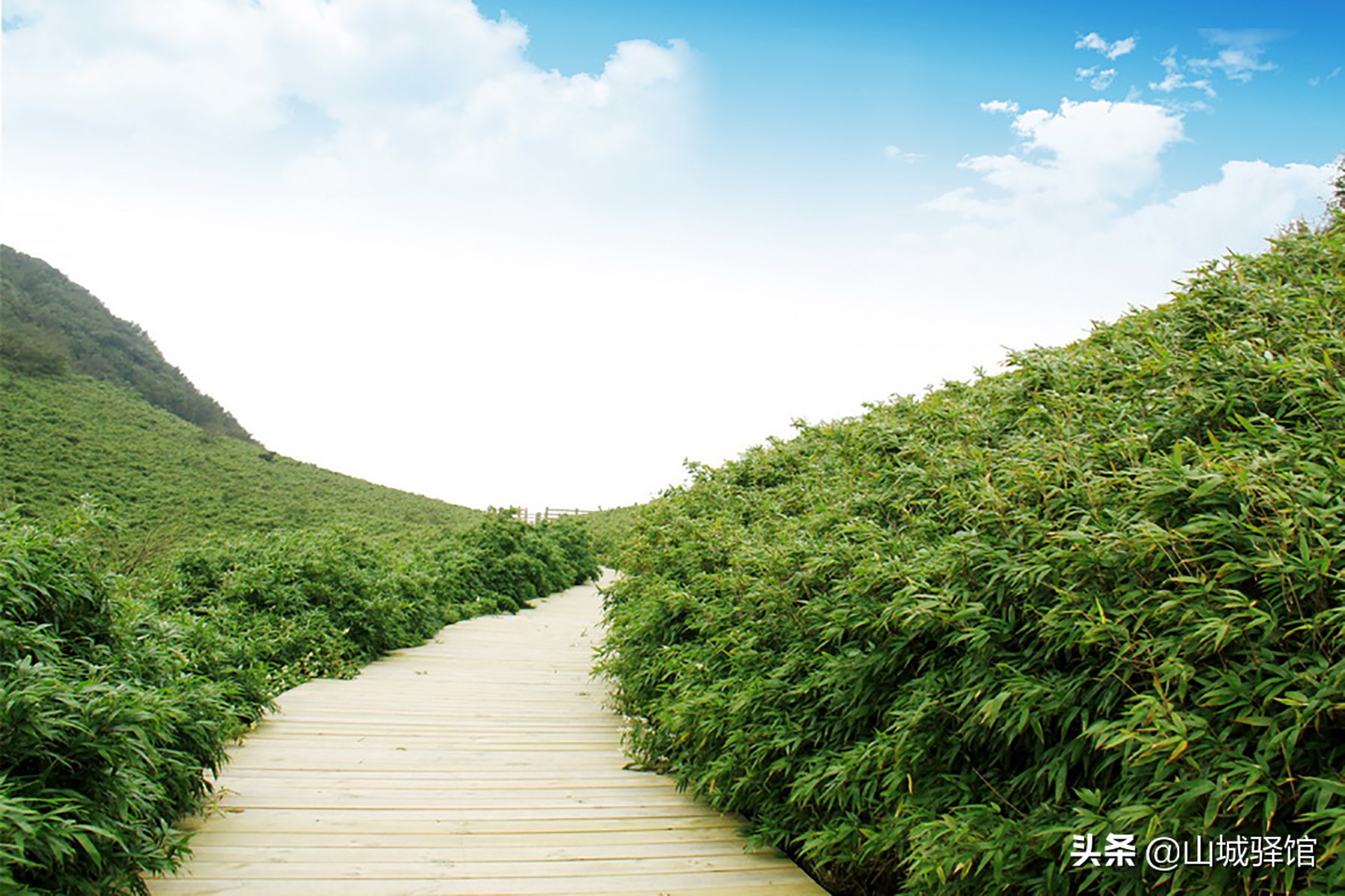 重庆南川沙滩峡谷露营,南川金佛山耍水露营地