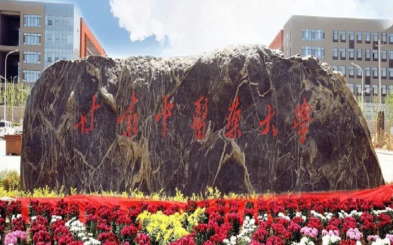 甘肃省有针灸推拿专业的大专,甘肃中医药大学针灸推拿学