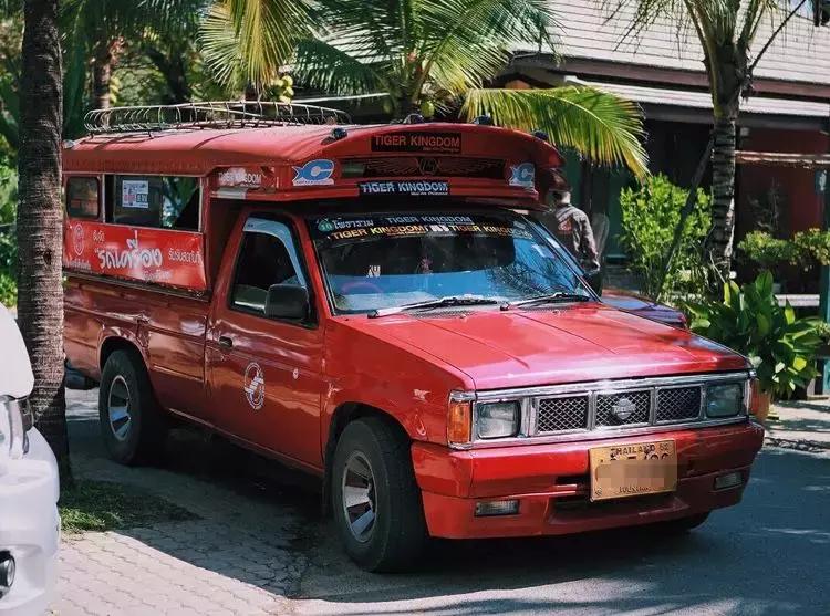 泰国|这回，我可要喷你了