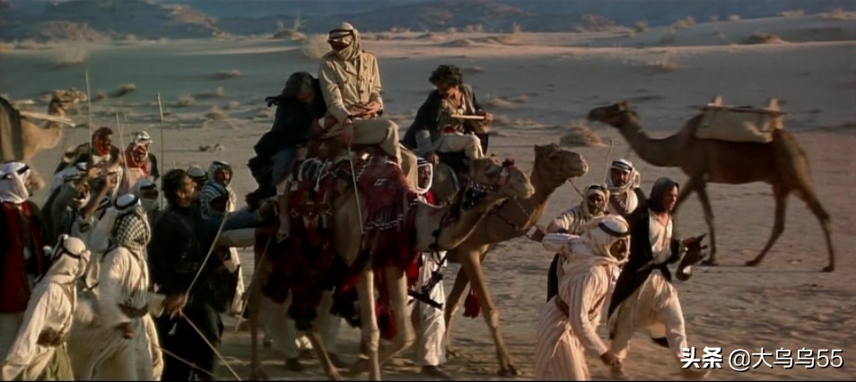 全球旅行迪拜游,迪拜菜鸟出国游