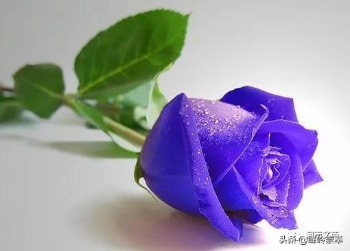 《邂逅》（一）刘学友原创