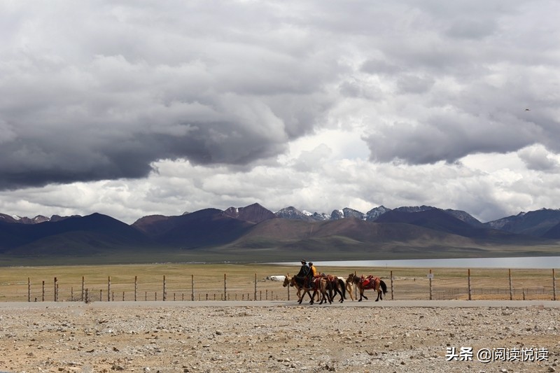 藏地人文风景图,藏域风情图片