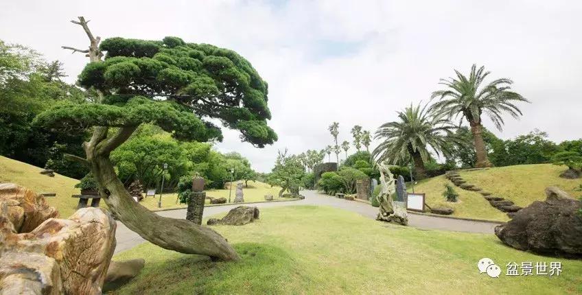 走进韩国思索之苑，这里算得上世界最美的庭园吗