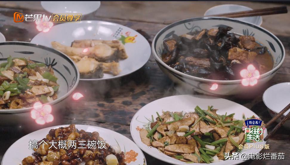 向往的生活收官期待下一季,追完一整部剧为什么越来越困难