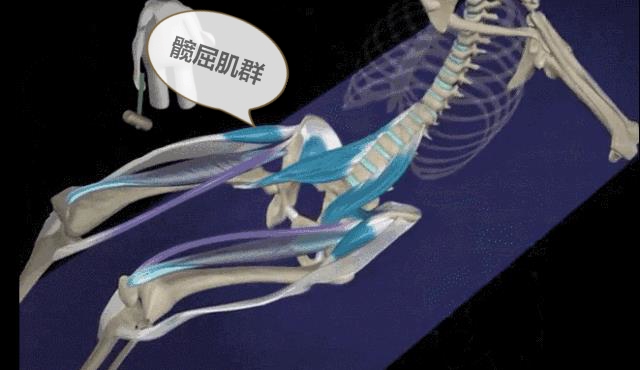 瑜伽沉腰拱背到底怎么做,瑜伽的船式平衡感怎么练