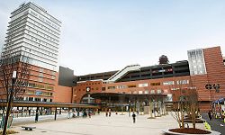 京都奈良铁路周游券,jr西日本周游券