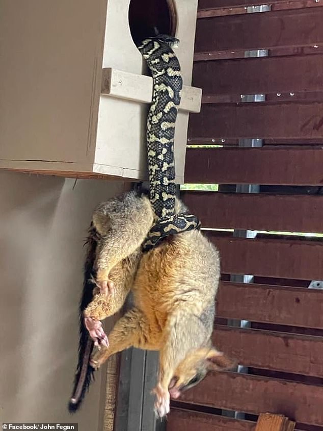 全身发抖的图片,全身发抖的照片