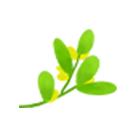 问养身之道学养生功法，一定要去崆峒山！