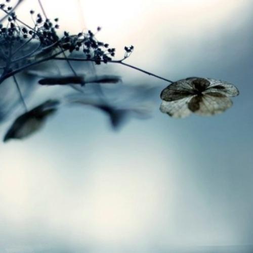 儿童对下联,小孩与众大人对对联