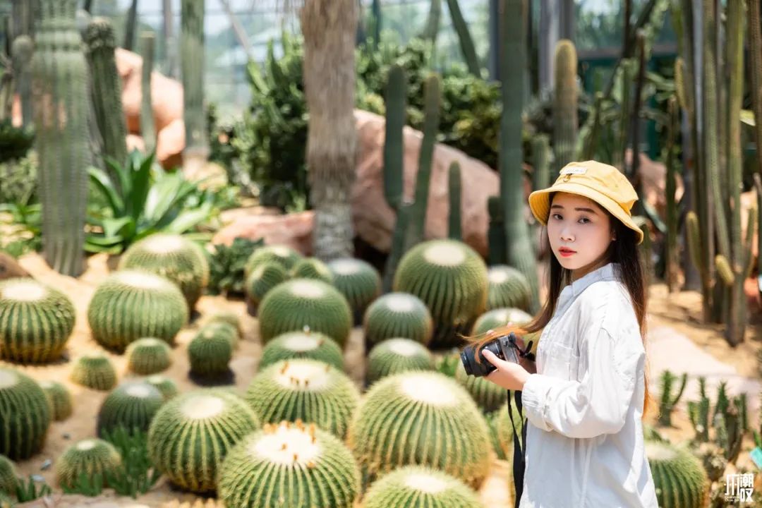 300+万㎡原始森林秘境，天河就有