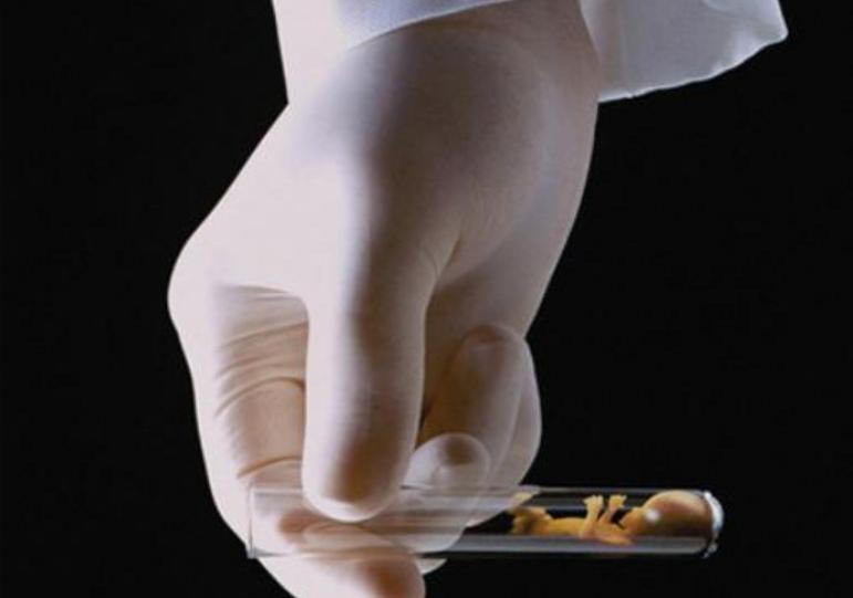 试管婴儿前必须要做人工授精吗,试管能观察卵子和精子结合吗