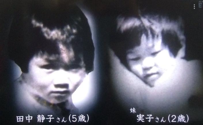 65年前在日本爆发的怪病,1952年日本猫自杀事件