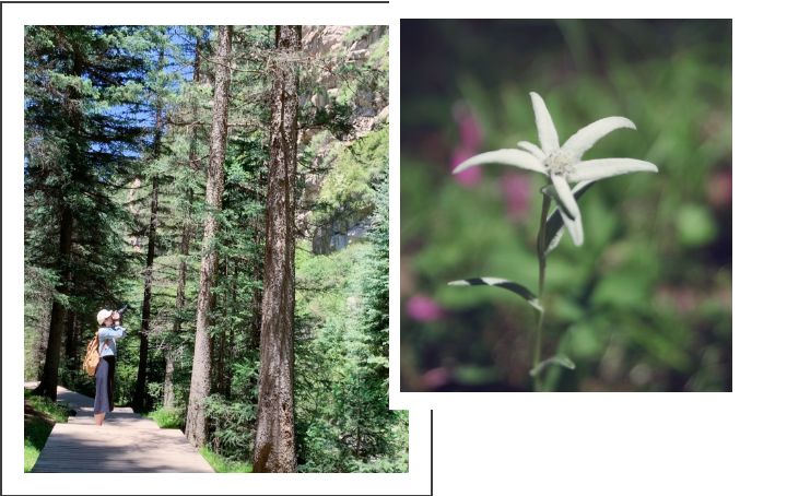 张掖西行旅游攻略,张掖七彩之行简介