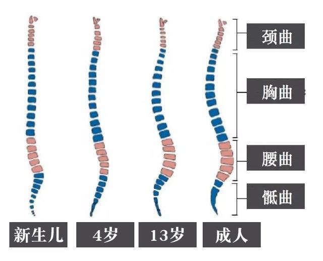 宝宝多大用枕头最合适,宝宝枕头怎么选才是正确的