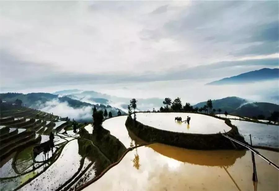 茗岙梯田+楠溪江+瓯江帆影+云和梯田+水墨仙都6日摄影团