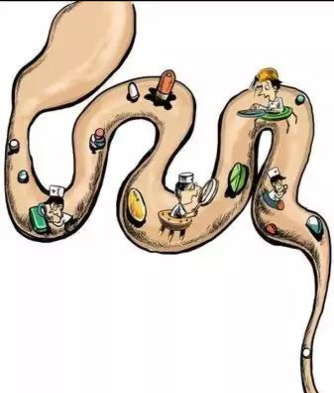 肠镜检查前注意事项及禁忌,肠镜检查前的准备和注意事项图文