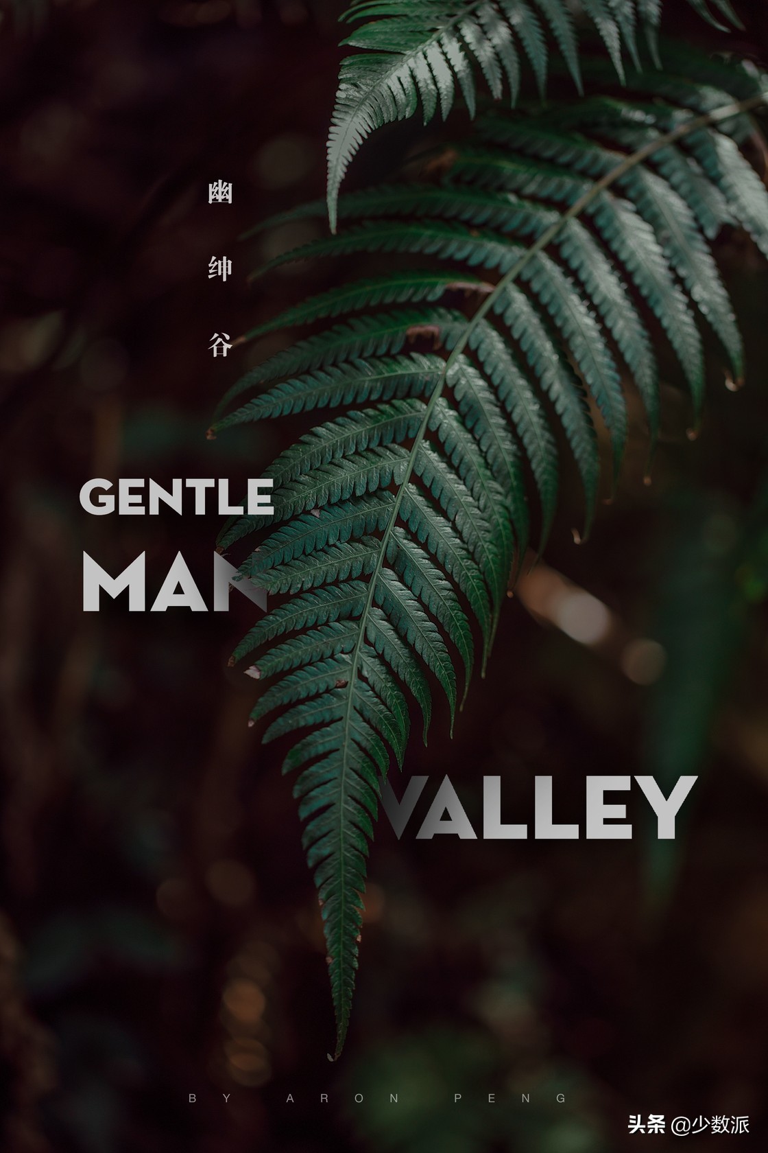 零基础也可以学平面设计,零基础免费学ipad插画