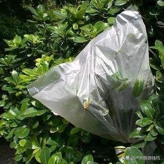 野外找水源最好的办法,野外四种找水方法