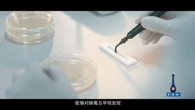 梦之蓝M6+豫商好榜样丨安图生物助力中国医学实验室智能化建设