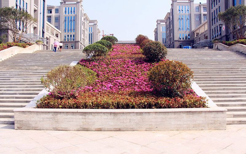 十堰市五大好初中,十堰最牛的高中郧阳