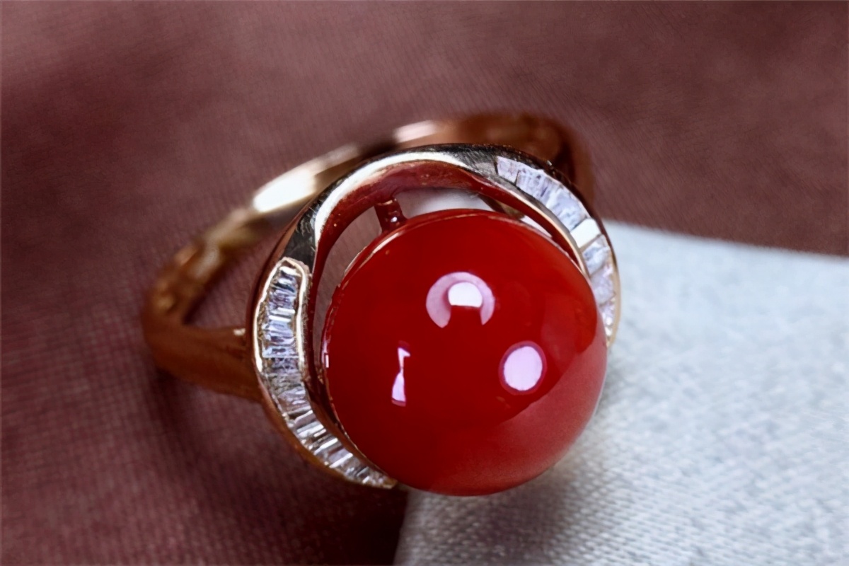 阿卡沙丁珊瑚,阿卡莫莫沙丁珊瑚区别