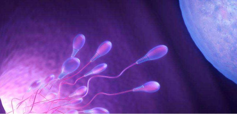 精子的控诉：我是怎么倒在路上的！备孕未果的夫妻应该看看