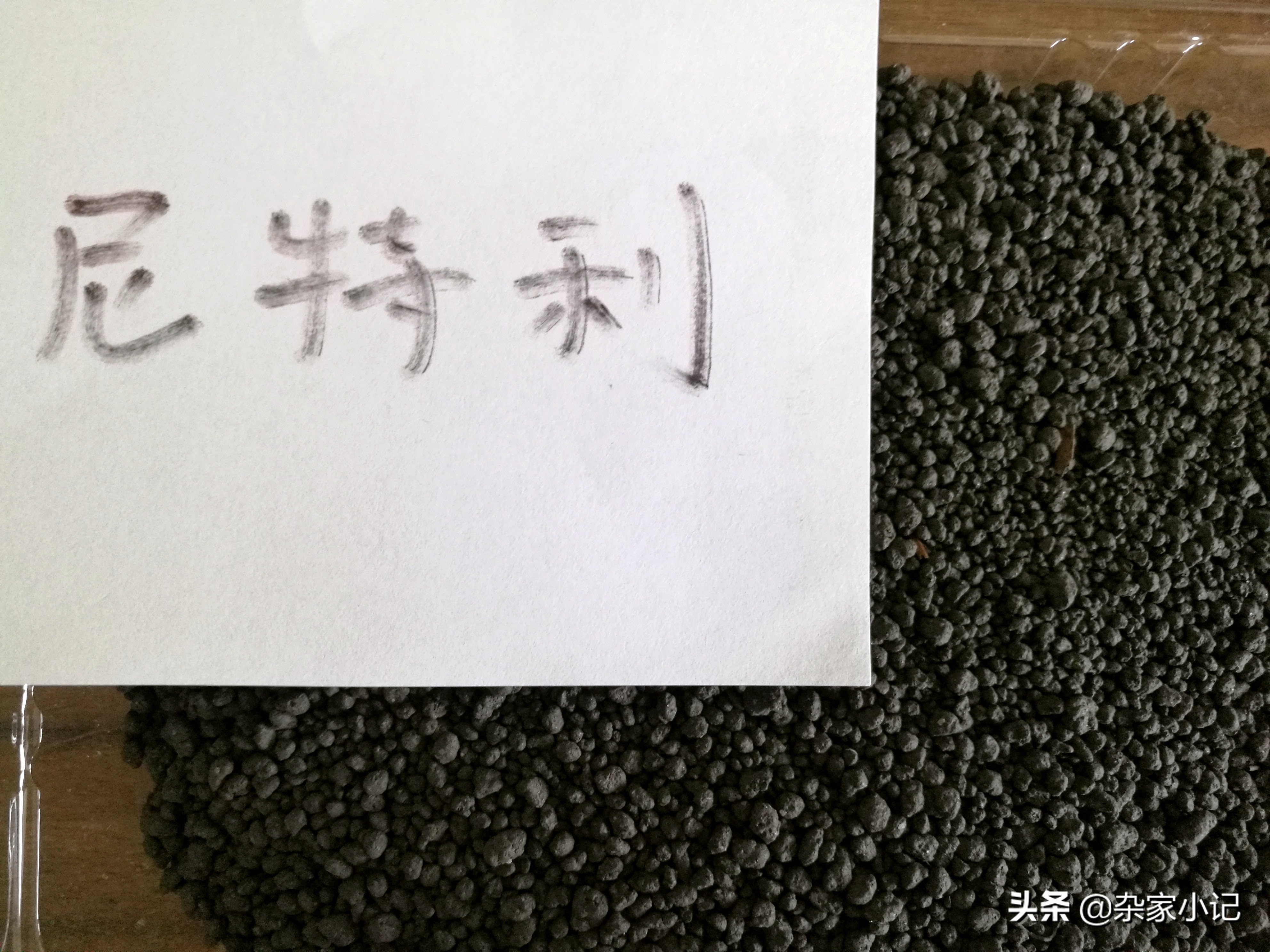 疯狂石头水草泥,疯狂的石头水草泥口碑怎样