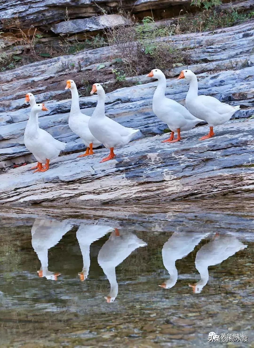 易县好看的视频,易县哪儿的好看