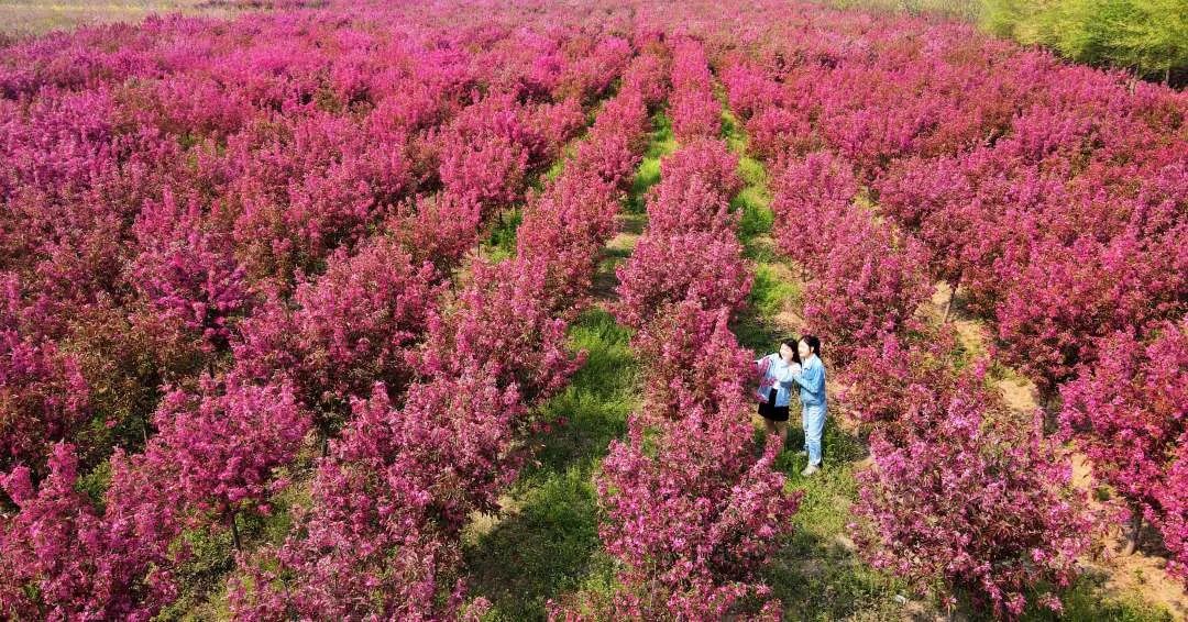 我为群众办实事怎样加强舆论宣传,我为群众办实事新媒体