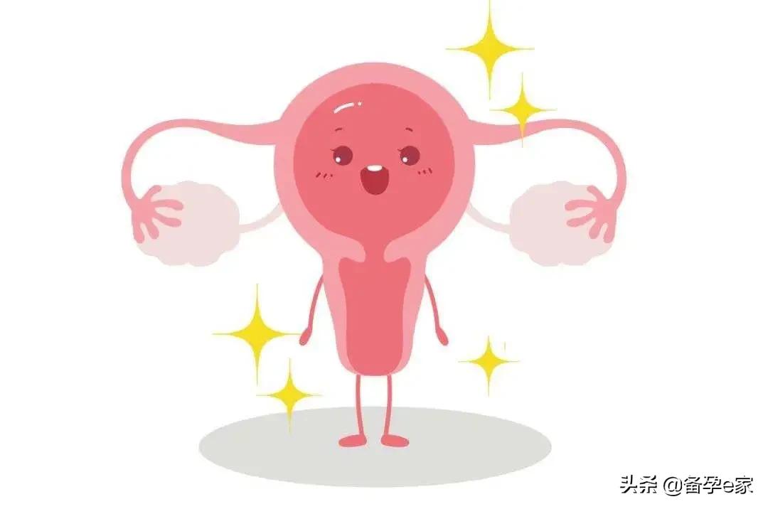 女性子宫的4大健康问题，绑架了你的婚姻和孩子
