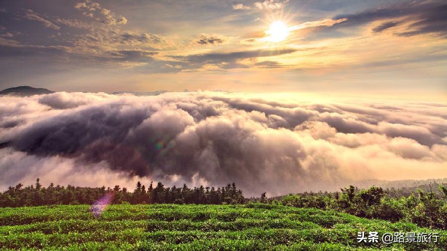 东钱湖十大必吃美食,东钱湖吃家常菜