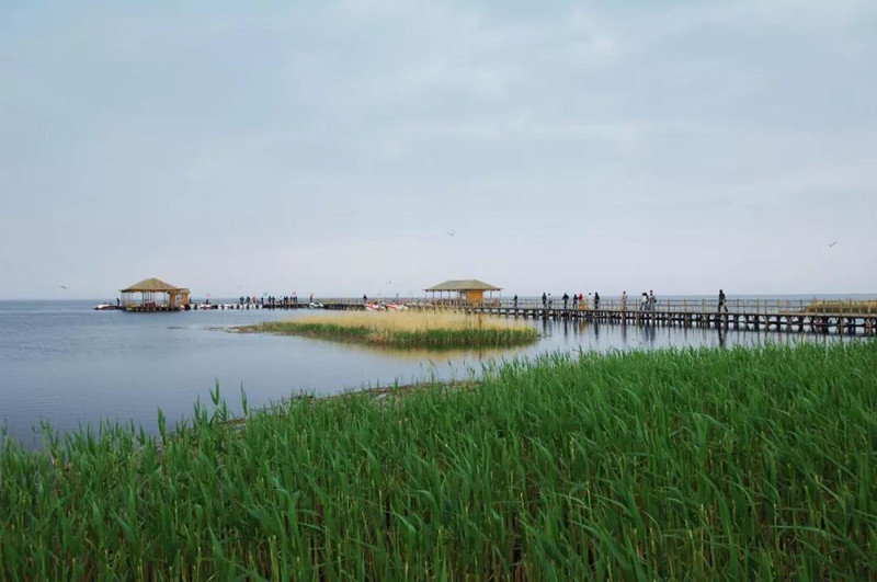 美不美，先看水！走进纳林湖，看巴彦淖尔水美