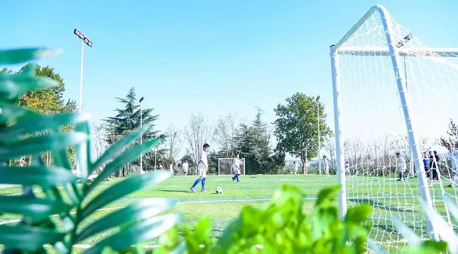 河南建业足球简介,河南建业足球一路走来