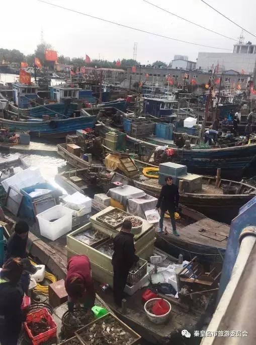 秦皇岛海鲜推荐,秦皇岛推荐海鲜