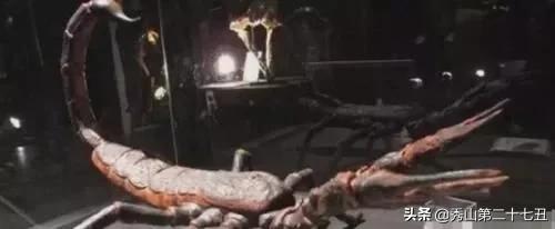 这十种巨型怪物，还好都已灭绝