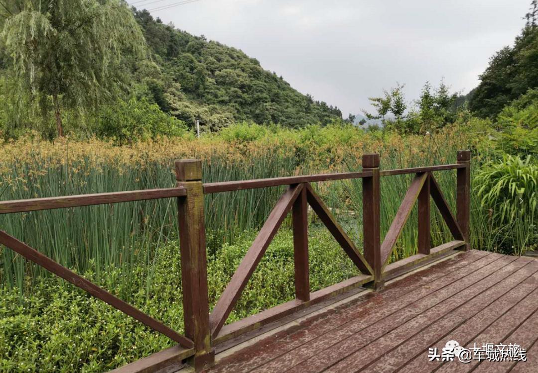 桃子采摘园十堰,十堰摘桃好去处