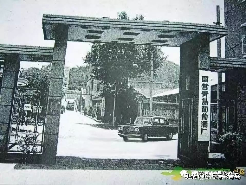 青岛葡萄酒最有名的是哪种,葡萄酒发展史青岛