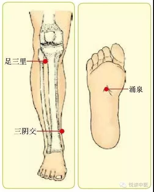 男言之隐介绍,男言之隐小说后续
