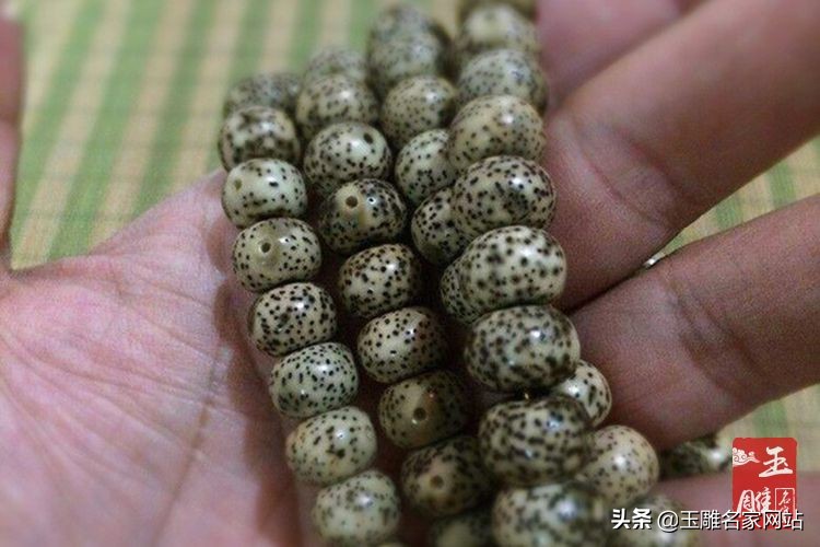 阴皮星月菩提好不好？阴皮星月菩提介绍