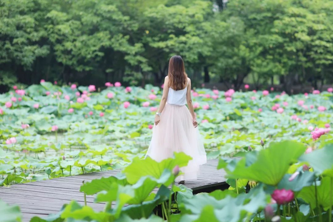 三月赏花一日游上海景点,本月上海赏花一日游最佳去处