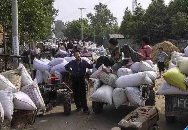 80年代场景农村交公粮,回忆从前农村交公粮