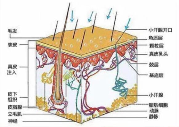 秋冬沙漠干皮巨补水的水乳,沙漠肌补水护肤水